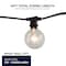 Bulbrite 14-foot String Light Kit with Clear Incandescent Globe G16 Light Bulbs, 2700K, 2PK 862814 - alternate 4